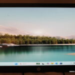 HP E222 22" LED Monitor